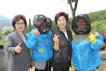 낙성대 양봉장 체밀 체험행사