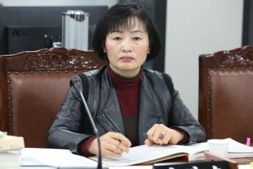 2015년 예산결산특별위원회