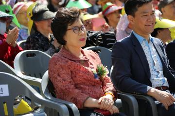  2017 효사랑 대축제