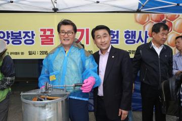 관악산 꿀벌의 선물 채밀행사