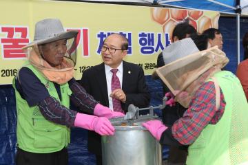 관악산 꿀벌의 선물 채밀행사