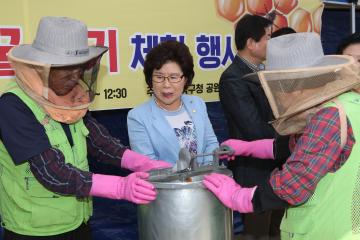 관악산 꿀벌의 선물 채밀행사