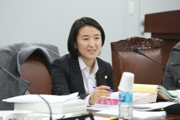 2015년 예산결산특별위원회